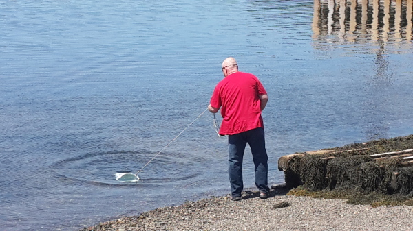 Collecting water